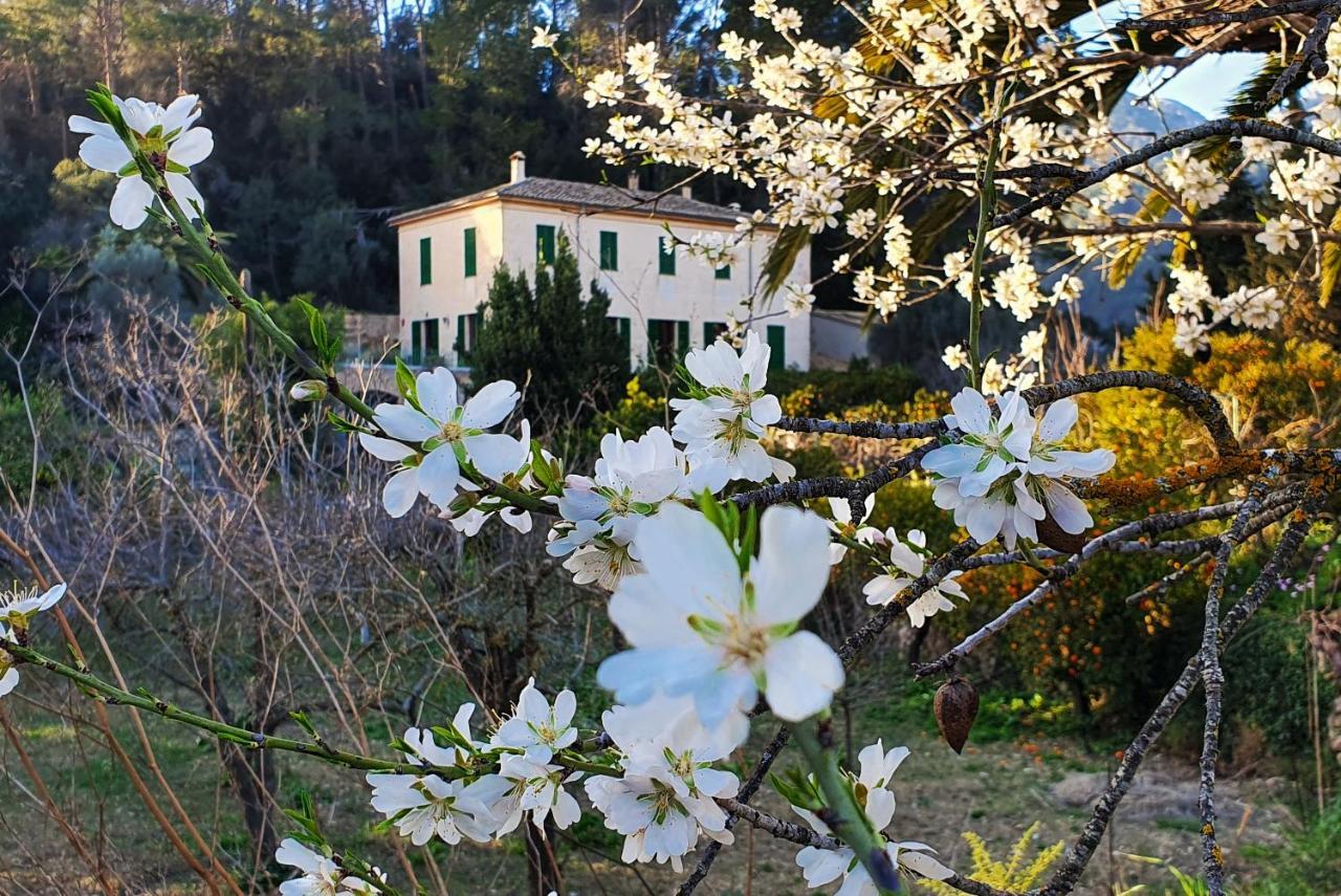 Agroturisme Finca Sa Maniga Country house